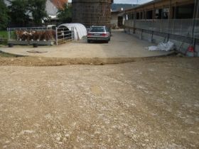 IMG_1254.JPG