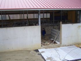 Seitz_Reutti_Stallbau0123.JPG