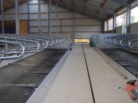 Seitz_Reutti_Stallbau0132.JPG