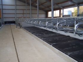 Seitz_Reutti_Stallbau0133.JPG