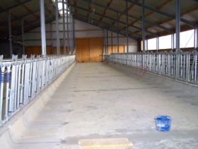 Seitz_Reutti_Stallbau0136.JPG