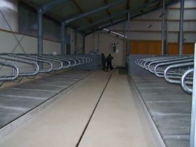 Seitz_Reutti_Stallbau0138.JPG