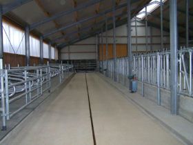 Seitz_Reutti_Stallbau0141.JPG