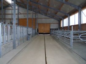 Seitz_Reutti_Stallbau0143.JPG