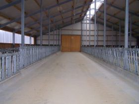 Seitz_Reutti_Stallbau0144.JPG