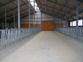 Seitz_Reutti_Stallbau0145.JPG