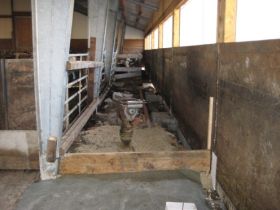 IMG_0677.JPG