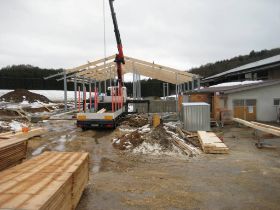 3-3-2012 003.JPG