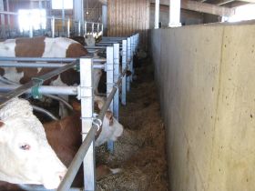 3-3-2012 061.JPG
