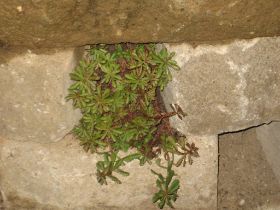 IMG_5707.JPG