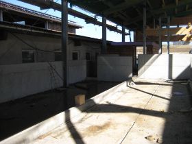 IMG_5079.JPG