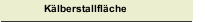 Kälberstallfläche